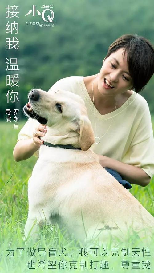 下诺夫哥罗德罗巴切夫斯基国立大学硕士证书
